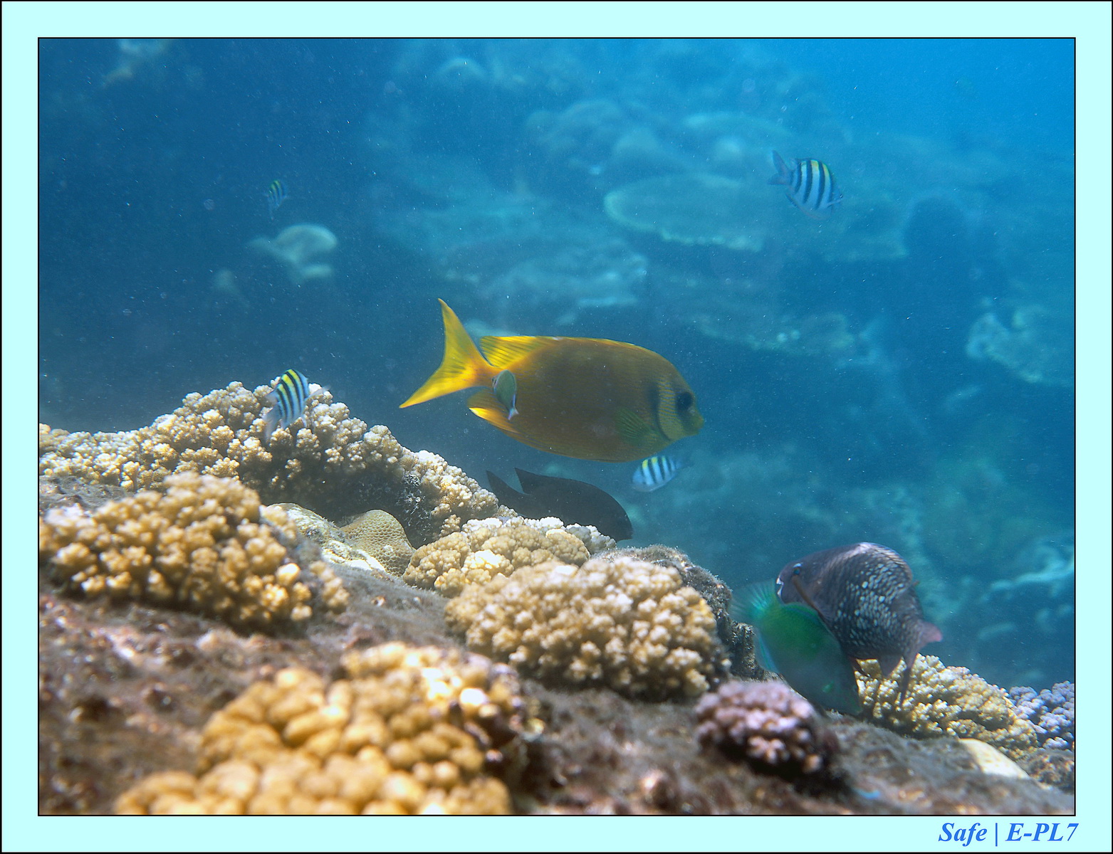 2015   07   Peranthian Islands 45